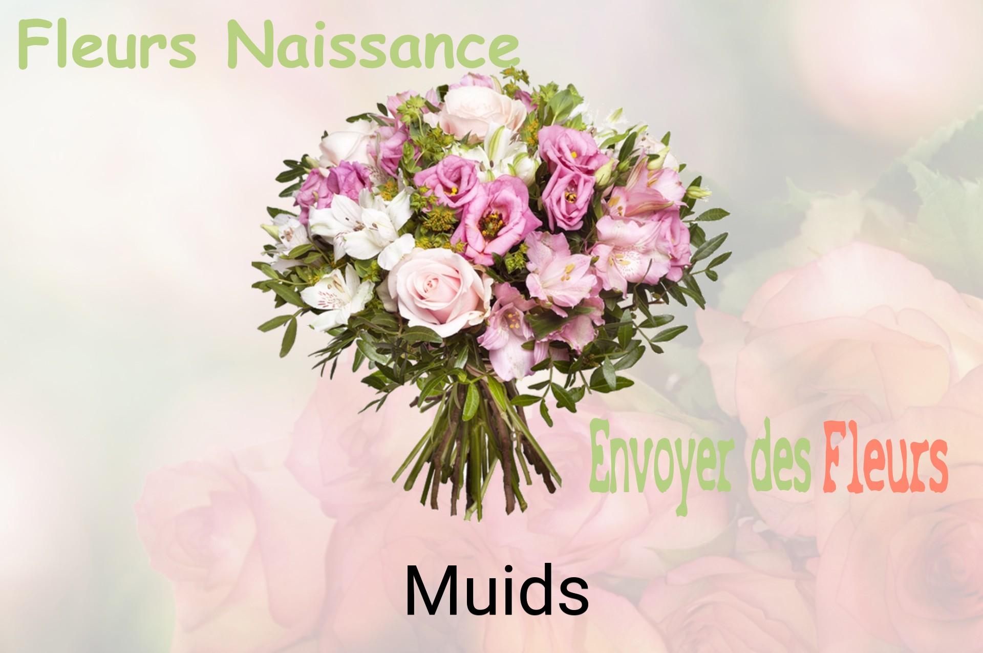 Bouquet de fleurs de naissance livré à Muids